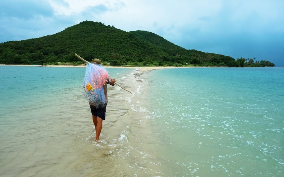 越南唯一的海洋沙道 ── 疊山島 ảnh 1
