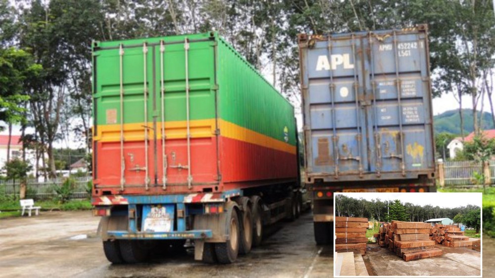 大圖為被扣留的兩輛集裝箱車。小圖為40立方米來歷不明的大果紫檀木。（圖源：互聯網）