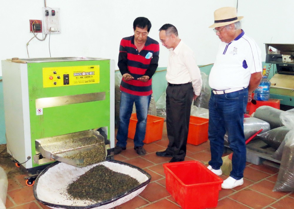 林同台商鑫安茶葉公司生產車間。