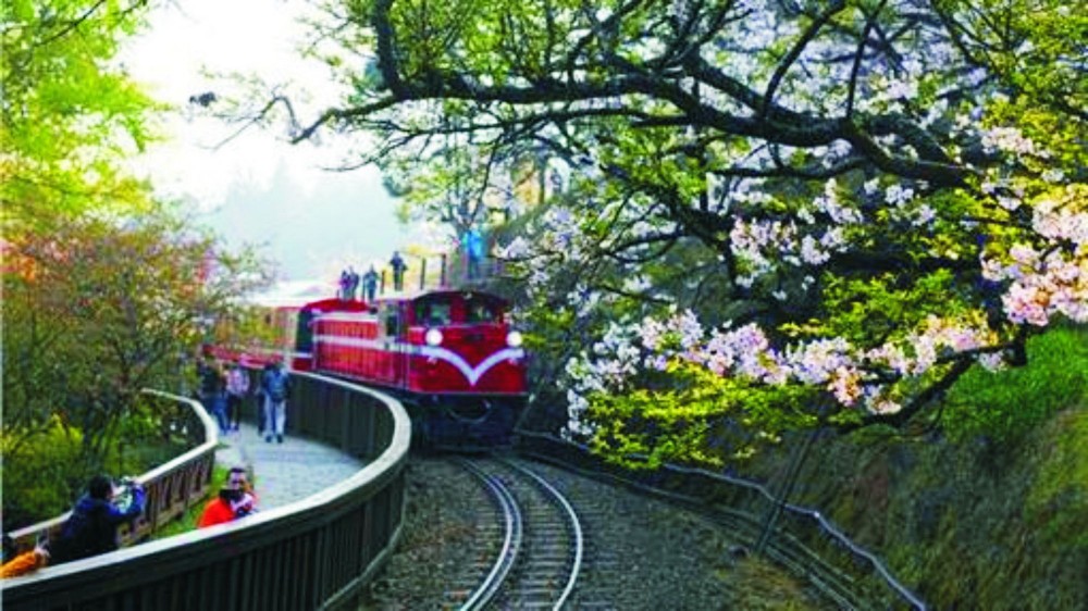 阿里山森林遊樂區。（圖源：互聯網）