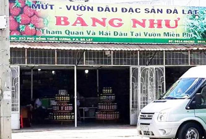 非法攬客的冰如草莓特產店已被行政處罰。（圖源：圖源：互聯網）