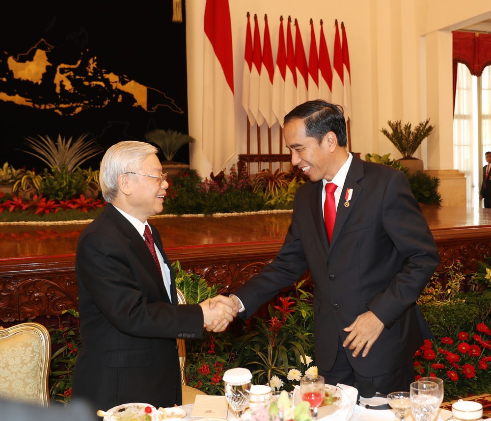 阮富仲總書記會見印尼總統佐科‧維多多。（圖源：越通社）