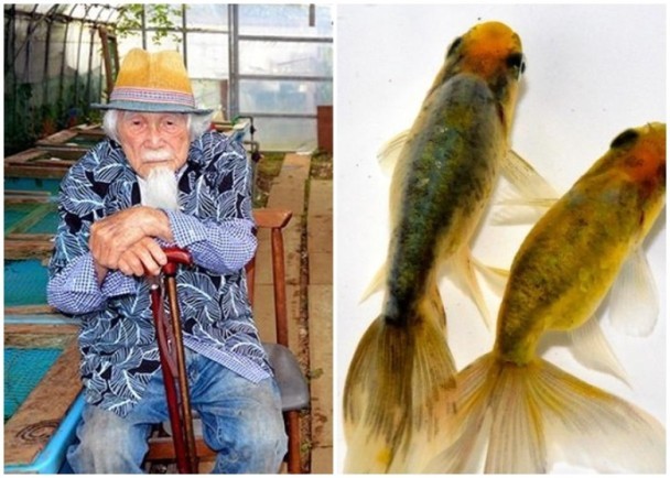 （資料圖源：互聯網）