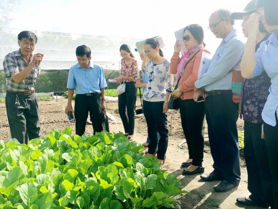 各單位前往農場宣傳及為農民諮詢種植達安全標準的商品。