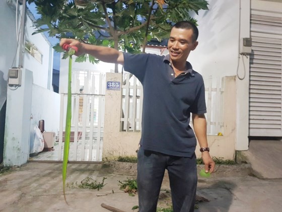 （資料圖源：互聯網）