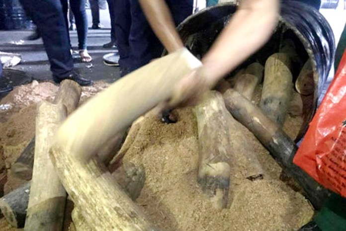 （資料圖源：互聯網）