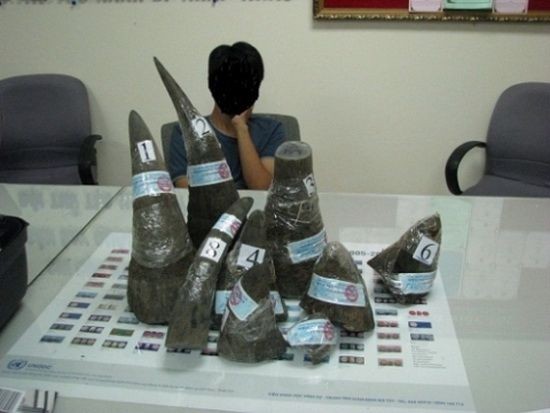 新山一機場海關查獲非法走私犀牛角。