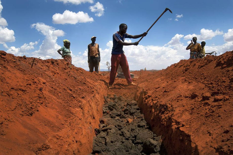 增強小規模農民的能力，為他們提供更好的信息，市場和技術，是確保未來糧食安全的關鍵。（圖源：FAO/聯合國）