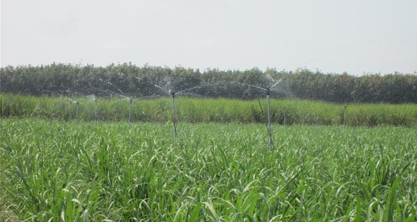 企業家須不怕失敗 ảnh 1