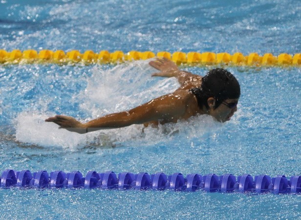 游泳運動員微氏姮。