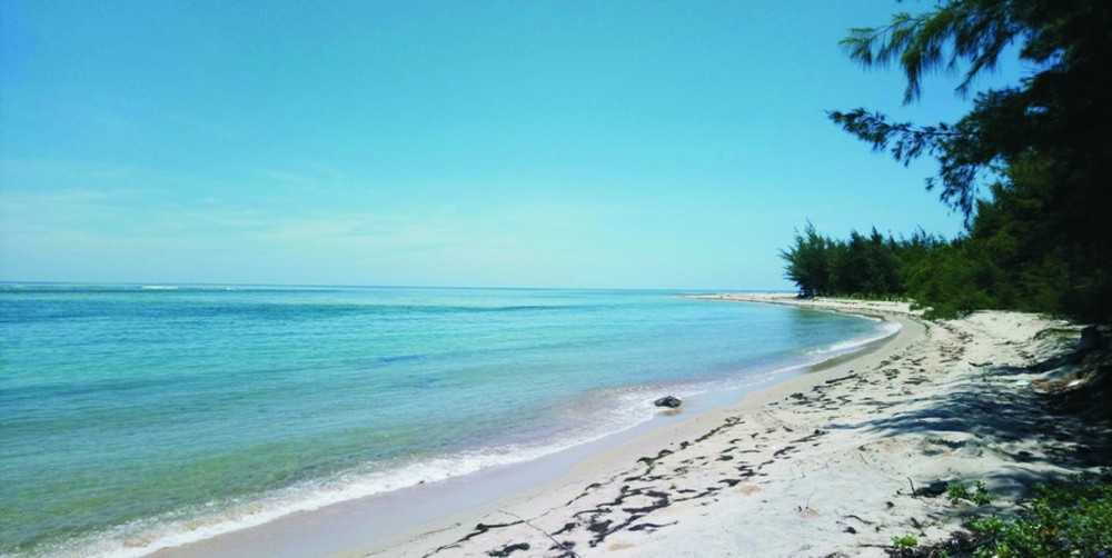 既寧靜又無污染的海灘。