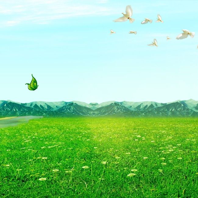 （示意圖源：互聯網）