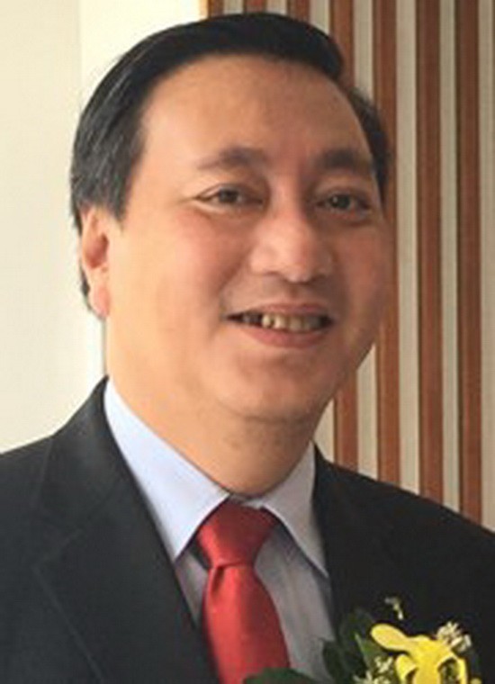 輔助企業維持國內市場份額 ảnh 1