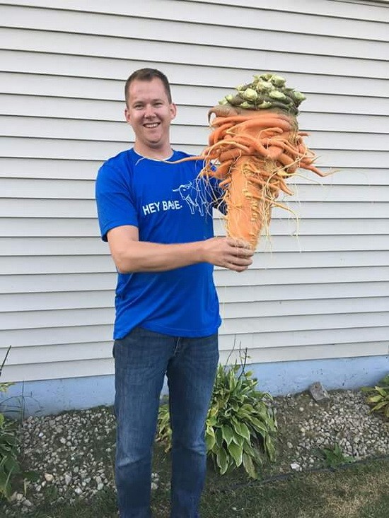 （資料圖源：互聯網）