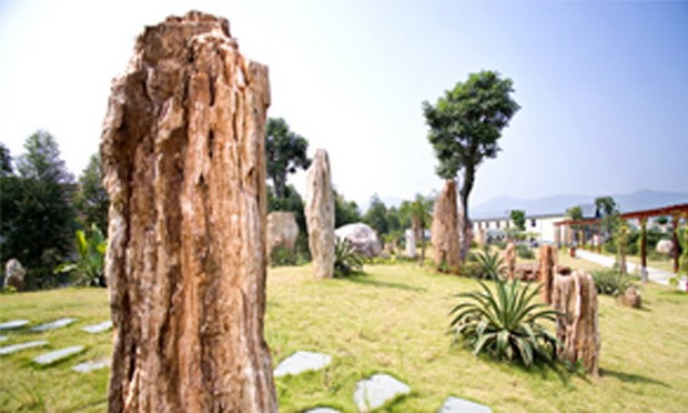 廣東省花都市 ảnh 1