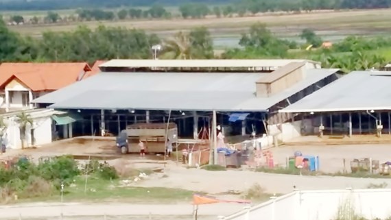 過去期間，古芝縣跨亞屠宰場發生給豬隻注射安眠藥的事件。