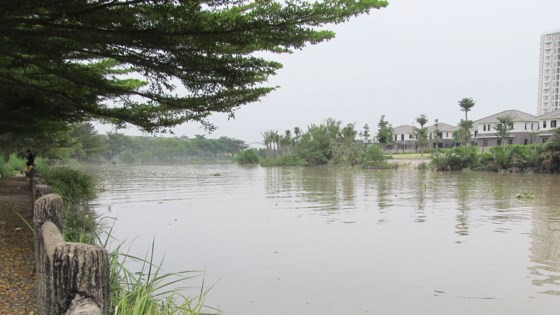 途經第九郡的迪哲河畔保護走廊的土地區域雜亂無章。
