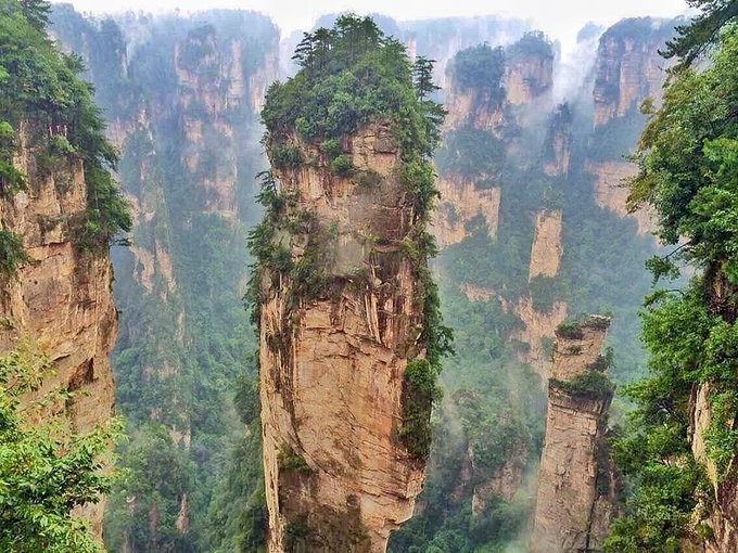 《阿凡達》電影中150米高造型奇特的乾坤柱。（圖源：互聯網）