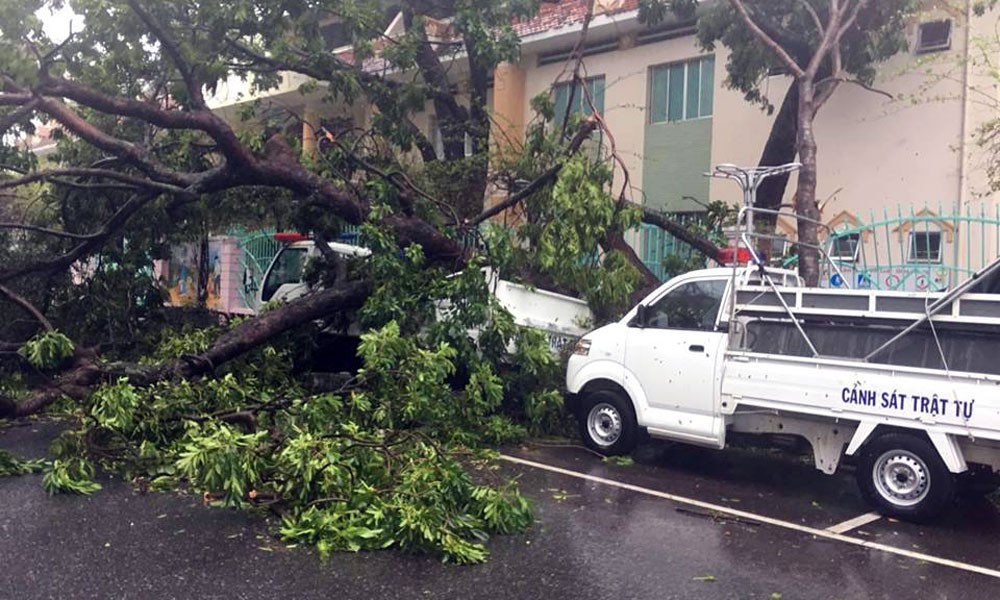 12 號颱風登陸各省損失慘重 ảnh 1