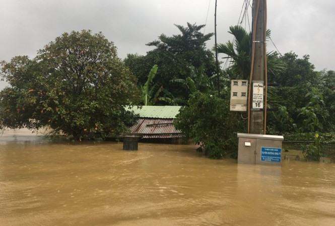 （資料圖源：清陳）