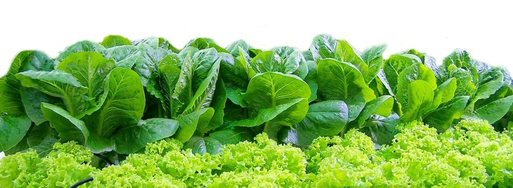 （示意圖源：互聯網）