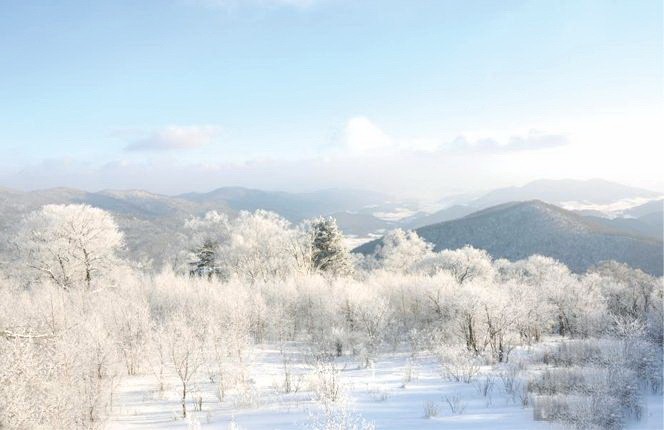 中國吉林，北大壺滑雪場1200米的最高峰出現了迷人高山霧淞美景。（圖源：互聯網）