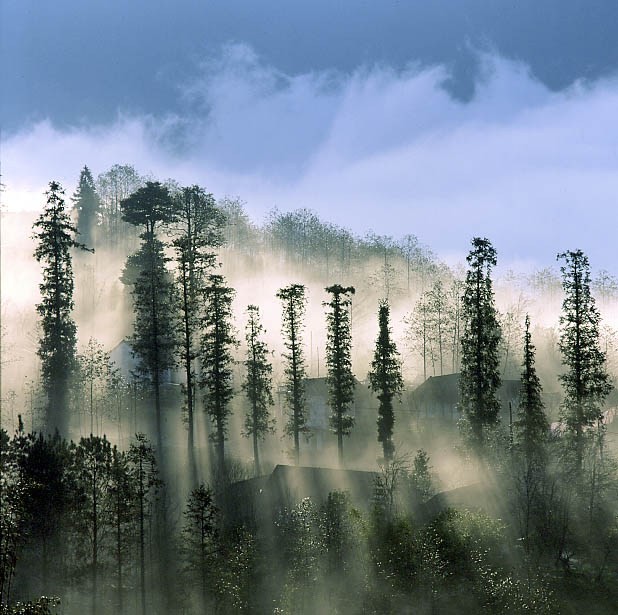 （示意圖源：互聯網）