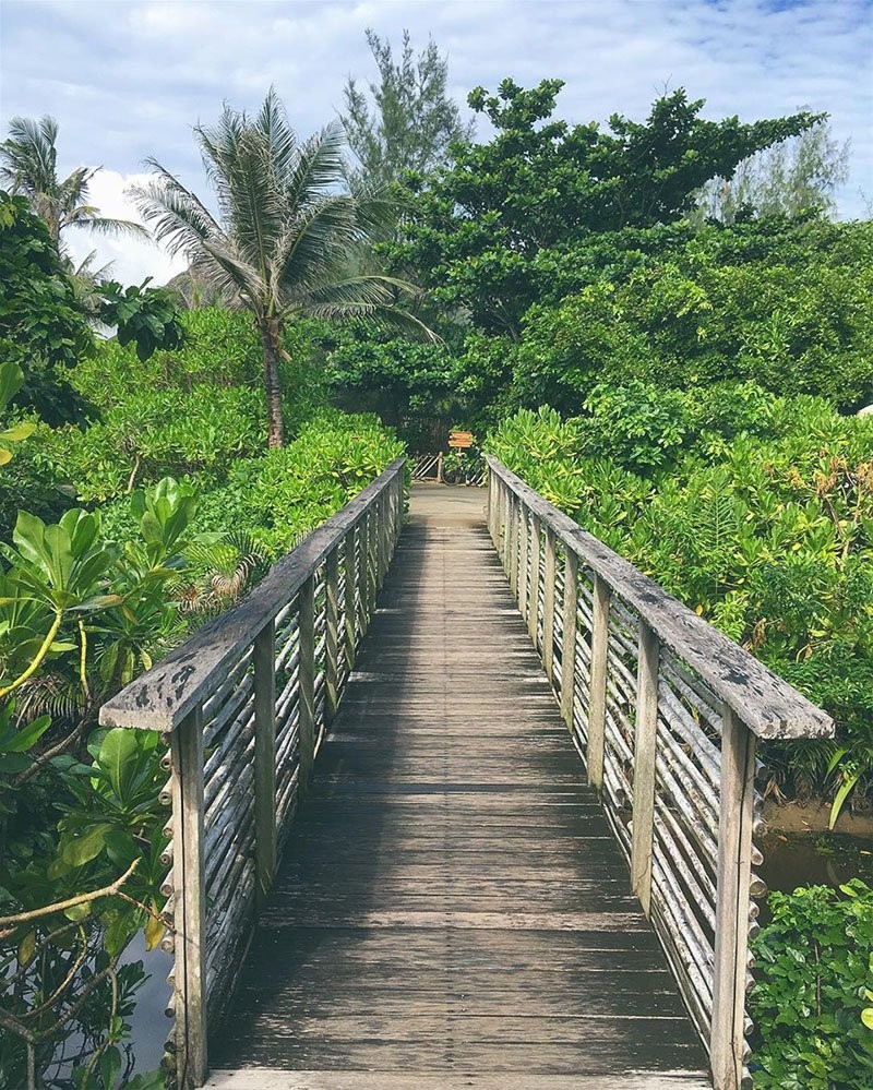 崑島——從人間煉獄變旅遊天堂 ảnh 1