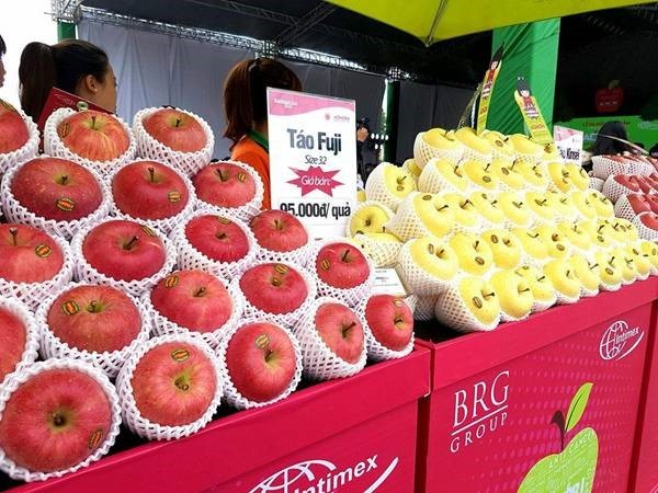 日本蘋果也獲引進越南且種類豐富。（圖源：互聯網）