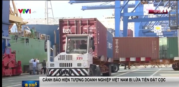 （圖源：VTV視頻截圖）