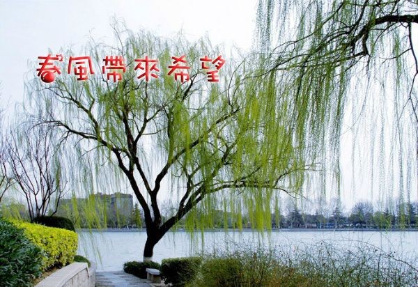 （示意圖源：互聯網）