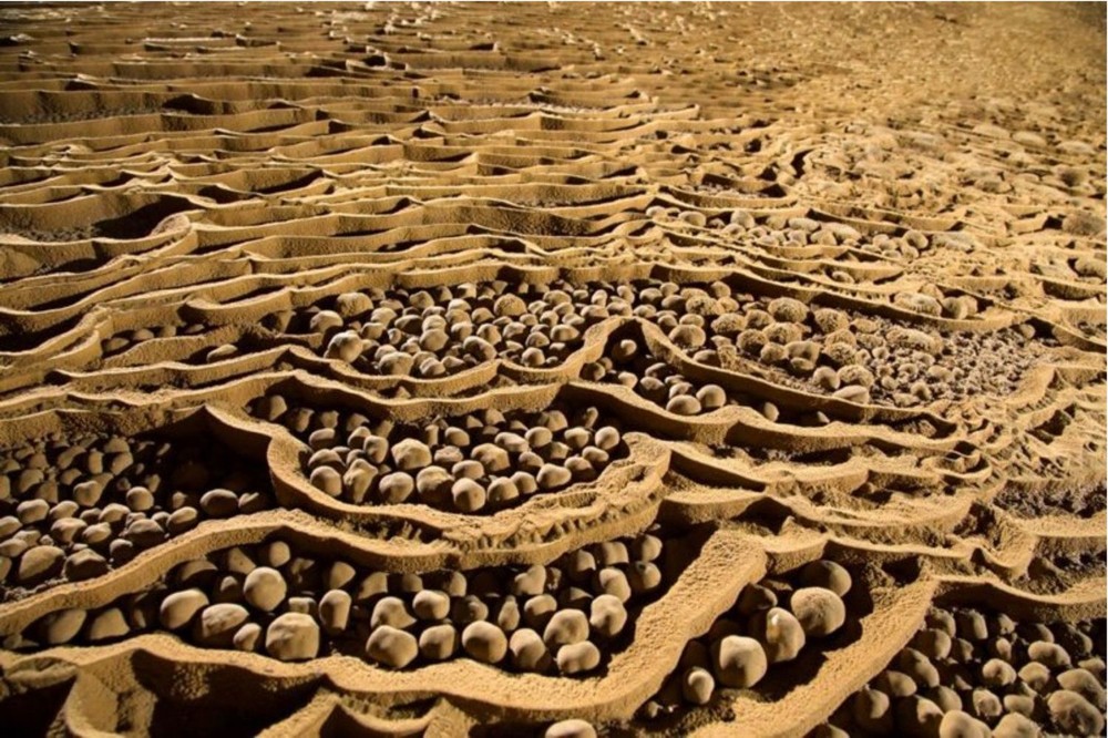 8 項關於山水洞的有趣事實 ảnh 5