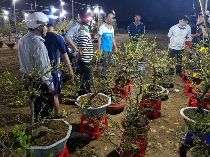 西貢人趕夜買梅花 ảnh 1