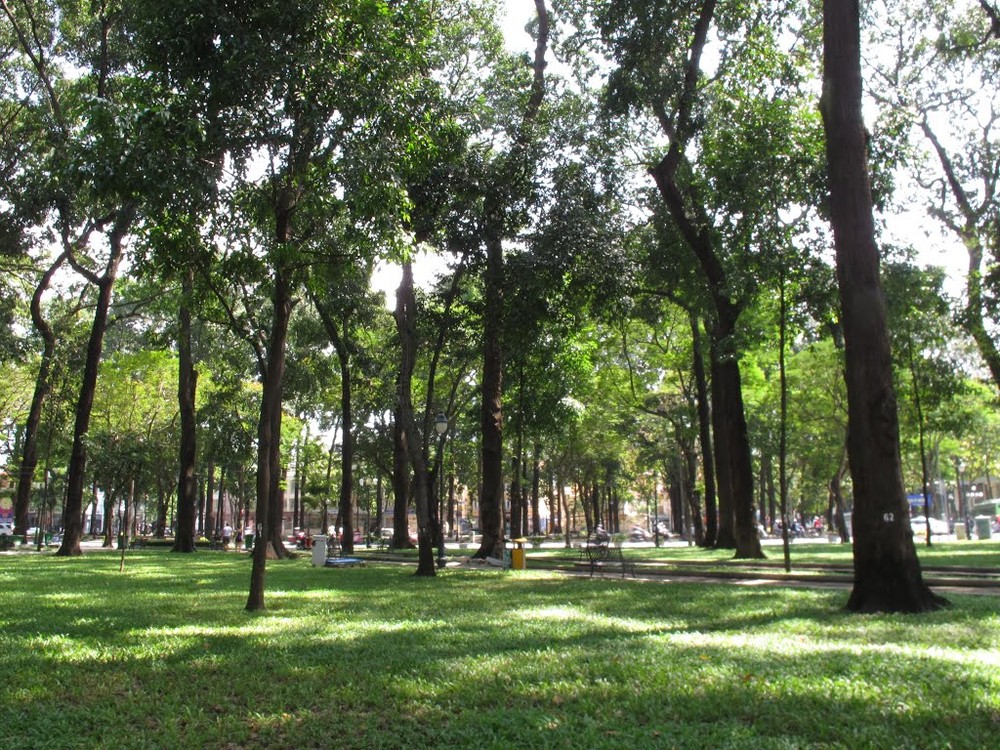 本市第一郡的“九‧二三”和“四‧三〇”兩公園即將安裝治安視頻監控系統。圖為四‧三〇”公園一隅。