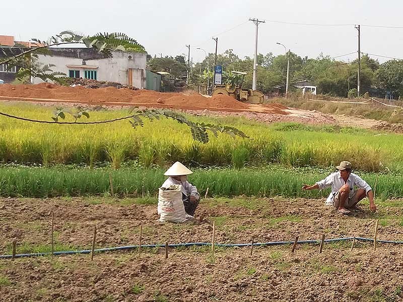 劃分土地必須根據郡、縣每年的具體計劃進行。