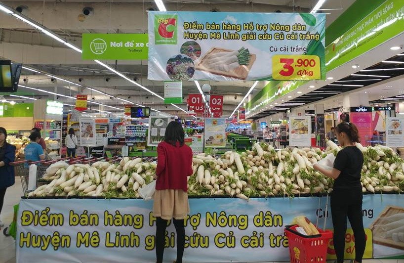 河內市麋冷Big C超市擺攤銷售的白蘿蔔。（圖源：秋娥）