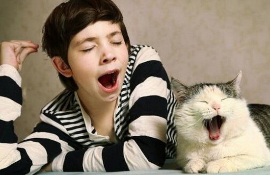 為什麼打哈欠會傳染。（示意圖源：互聯網）