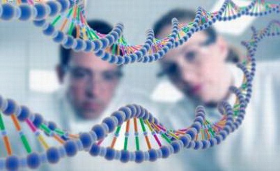 遺傳給男性疾病多。（示意圖源：互聯網）