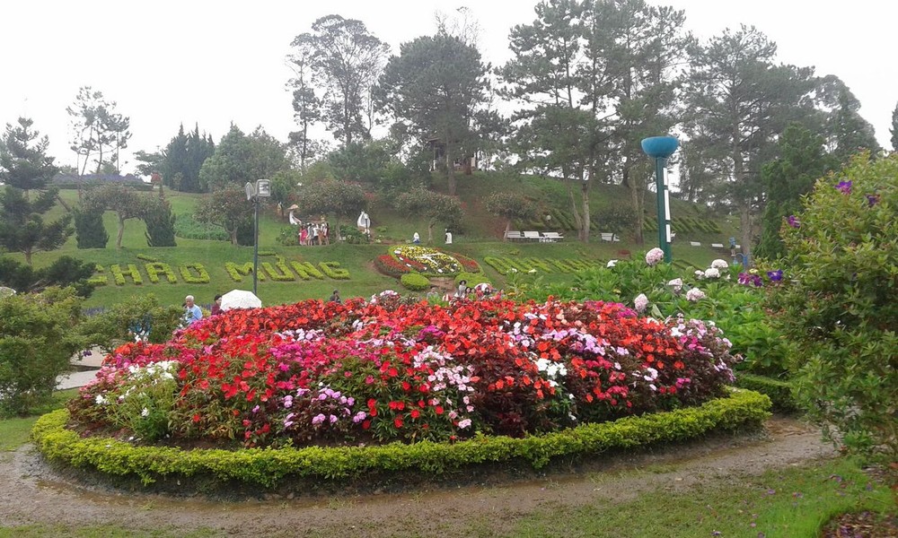 大勒是國內遊客選擇的第二大景點。