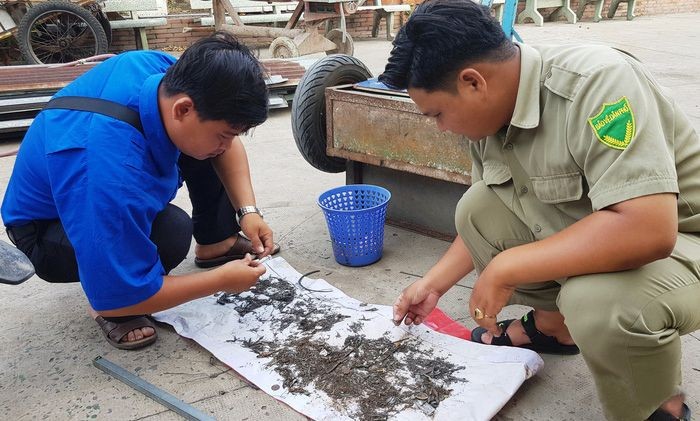 １號國道出現撒釘弊端 ảnh 1