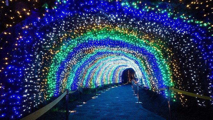 「一箭雙都」之旅（下） ảnh 1