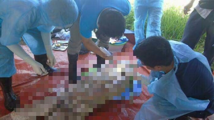 驗屍現場一瞥。（圖源：光峰）