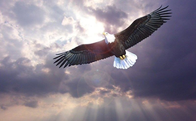 （示意圖源：互聯網）