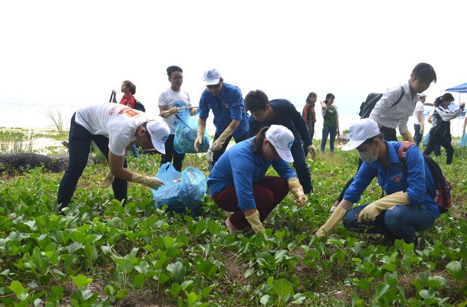 共青團員與青年在沿海收拾垃圾。