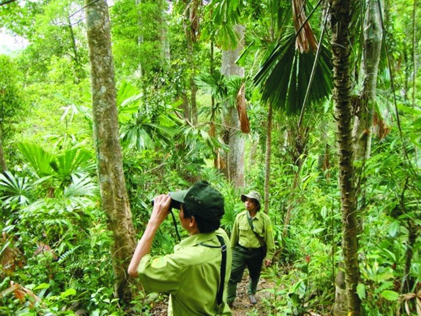 護林員在森林管護巡查。