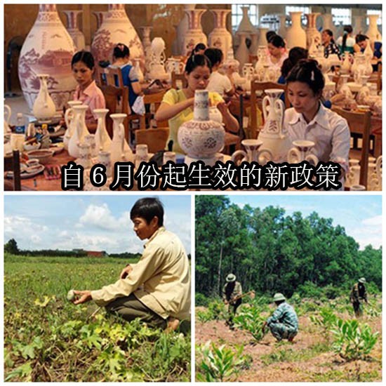 自６月份起生效的新政策。（示意圖源：互聯網）