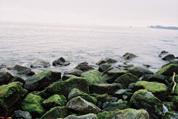 海陽海灘──順化市“馬爾代夫” ảnh 1