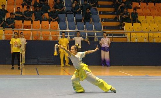 2018年全國青年武術錦標賽開幕式暖場表演一瞥。（圖源：越通社）