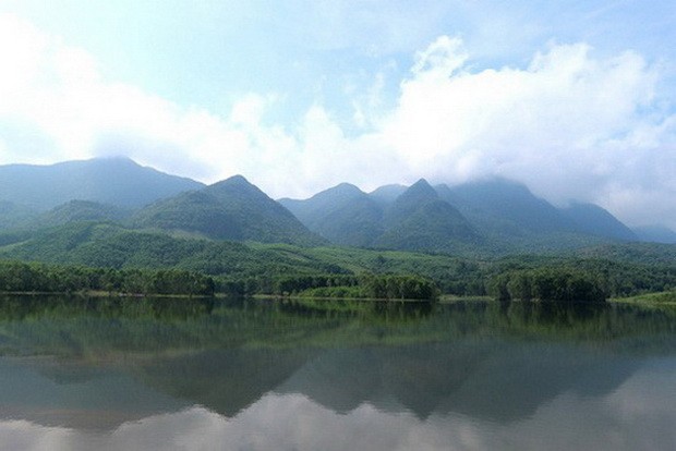 廣南省荷塘美不勝收 ảnh 2