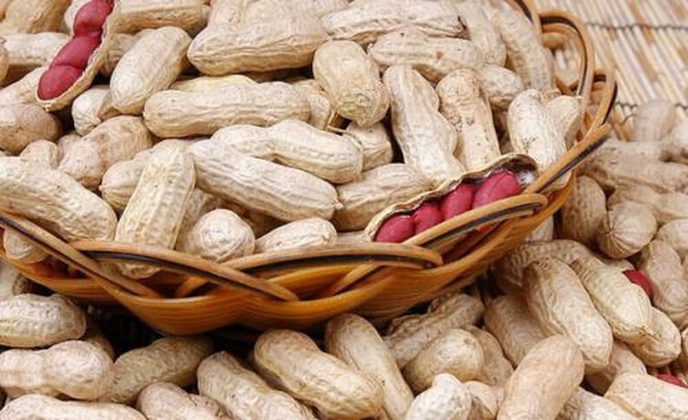 花生（圖源：互聯網）